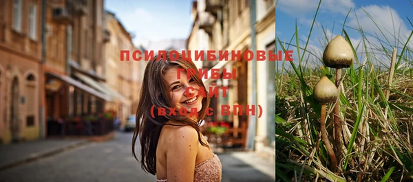 apvp Балахна
