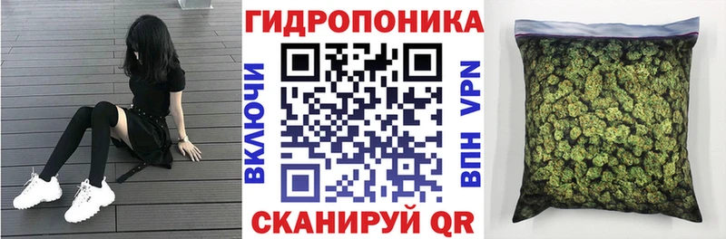 hydra ONION Макарьев Каннабис Amnesia